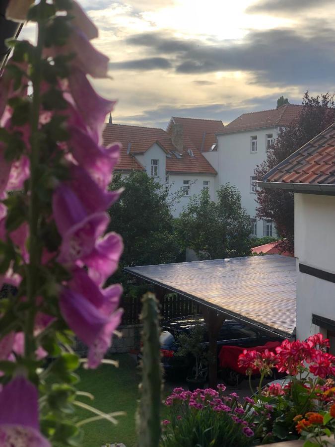 Appartamento Am Mathildenbrunnen Gross Quedlinburg Esterno foto