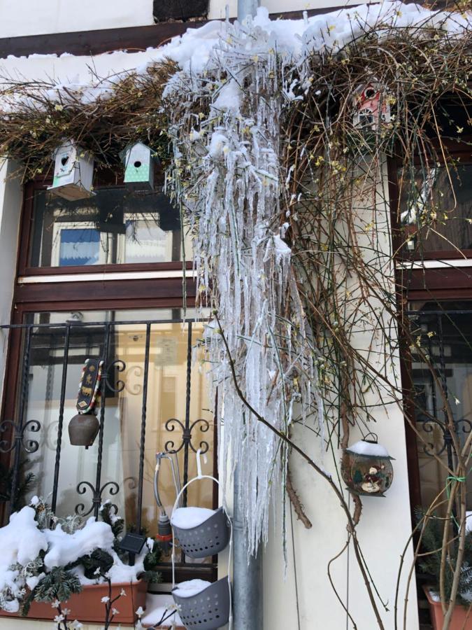 Appartamento Am Mathildenbrunnen Gross Quedlinburg Esterno foto
